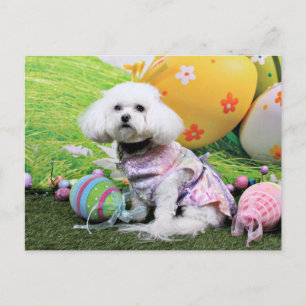 Easter - Bichon Frise - Mia Holiday Postcard