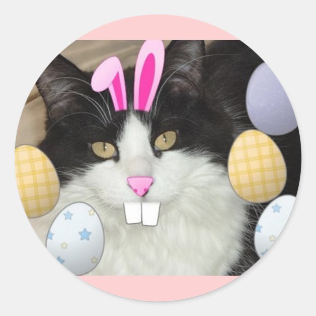 Easter Black and White Cat Classic Round Sticker (Front)
