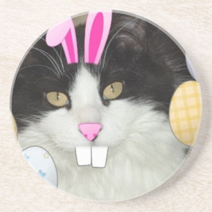 Easter Black and White Kitty Cat Sandstone Coaster