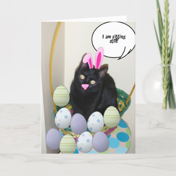 Black Cat Easter Cards | Zazzle