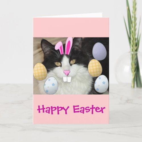 Easter Black  White Cat Holiday Card