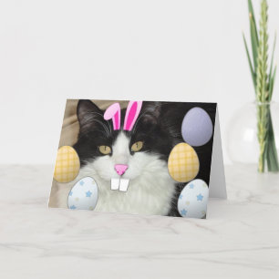 Easter Black & White Cat Holiday Card