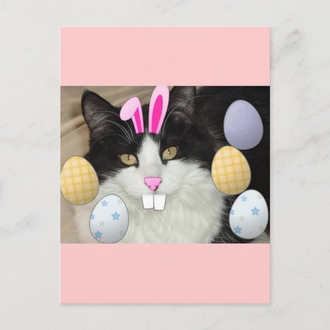 Easter Black & White Cat Holiday Postcard (Front)