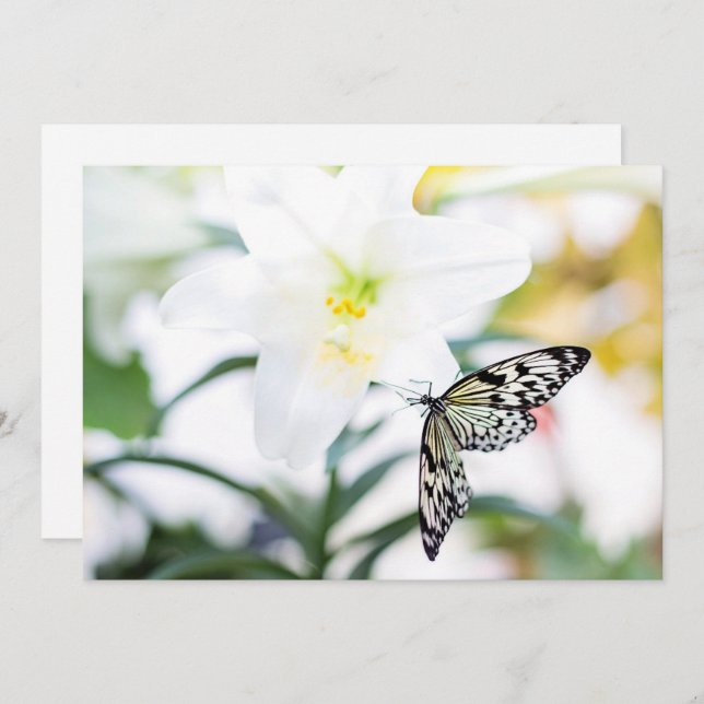 Easter Blessings 1 John 2:25 Bible Verse Holiday Card (Front/Back)