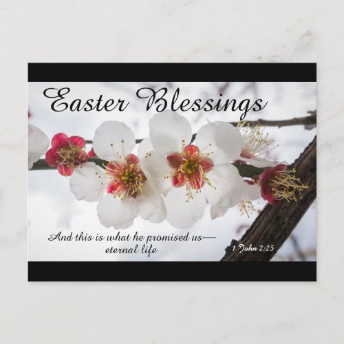 Easter Blessings 1 John 225 Bible Verse Holiday Postcard