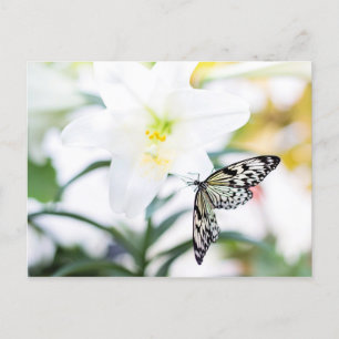 Easter Blessings 1 John 2:25 Bible Verse Holiday Postcard