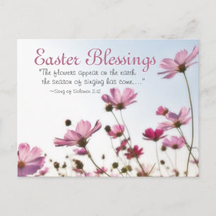 Easter Blessings Bible Verse "The flowers appear" Holiday Postcard