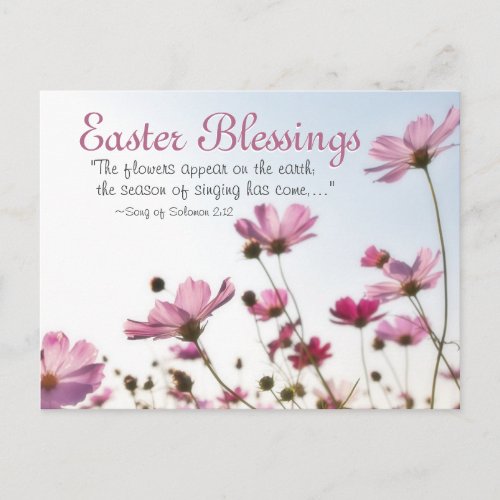 Easter Blessings Bible Verse The flowers appear Holiday Postcard