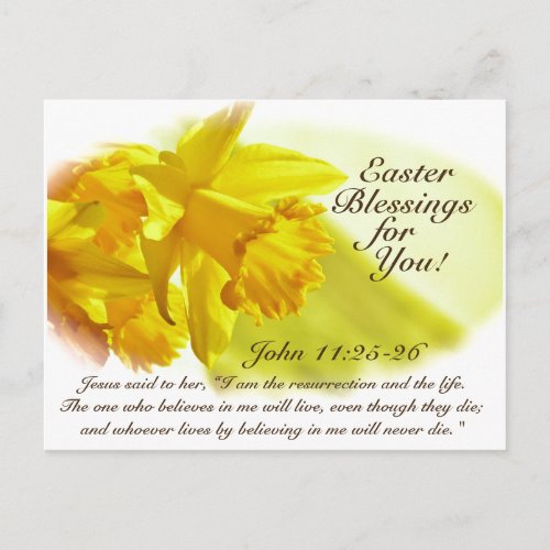 Easter Blessings John 1125_26 Daffodils Holiday Postcard