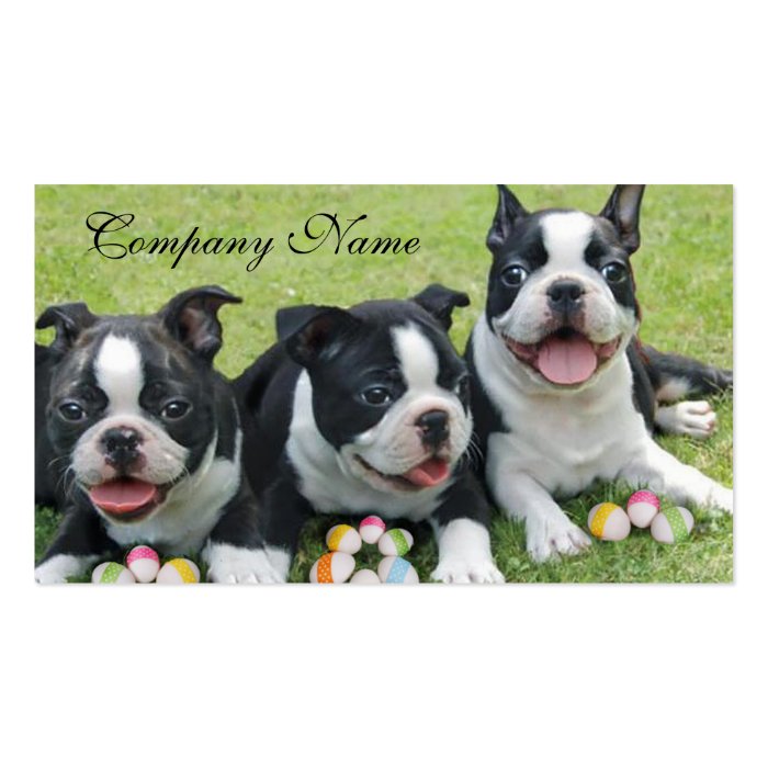 Easter Boston terriers Business Cards