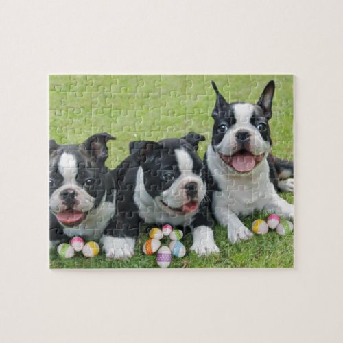 Easter Boston terriers Jigsaw Puzzle