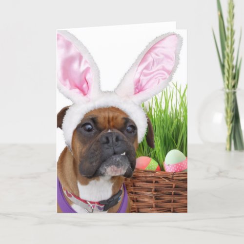 Easter boxer dog holiday card