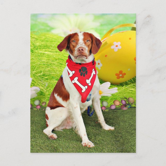 Easter - Brittany Spaniel - Elliott Holiday Postcard (Front)