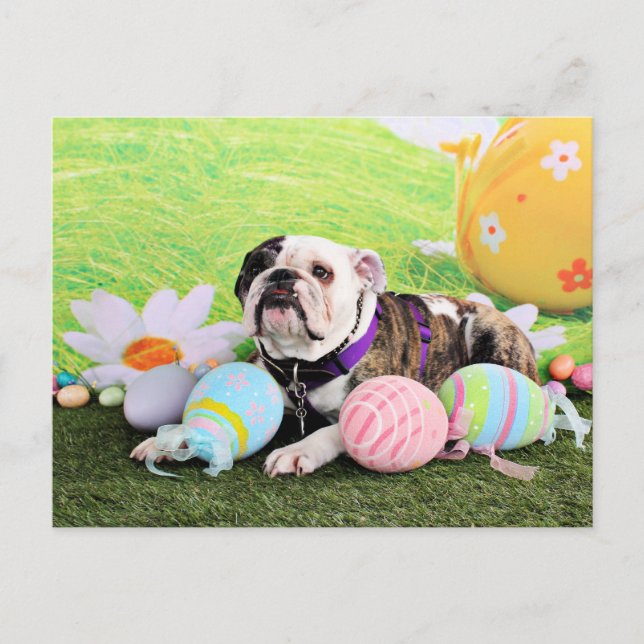 Easter - Bulldog - Delilah Holiday Postcard (Front)