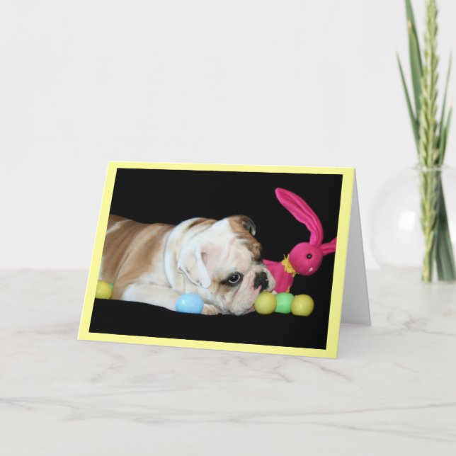 Easter Bulldog greeting card (Front)