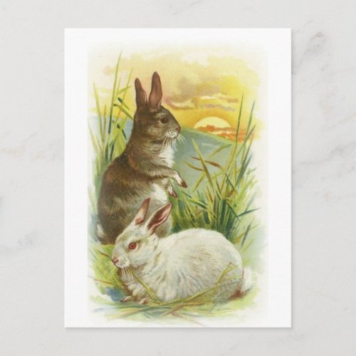 Easter Bunnies at Sunrise Holiday Postcard