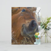 Easter Bunny and Brown horse (Standing Front)