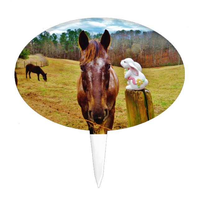 Easter Bunny and Brown horse Cake Topper (Front)