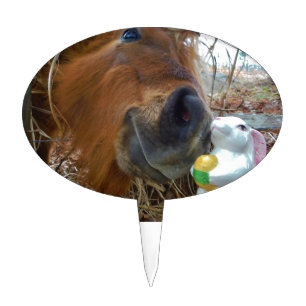 Easter Bunny and Brown horse Cake Topper