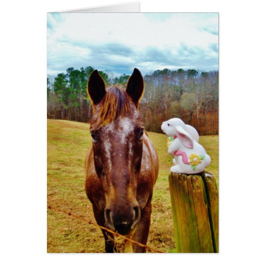 Easter Bunny and Brown horse Cards (Front)