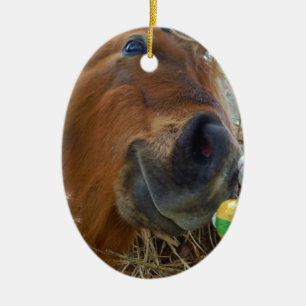 Easter Bunny and Brown horse Ceramic Ornament