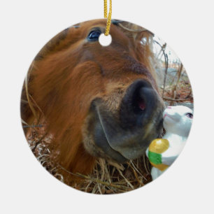 Easter Bunny and Brown horse Ceramic Ornament