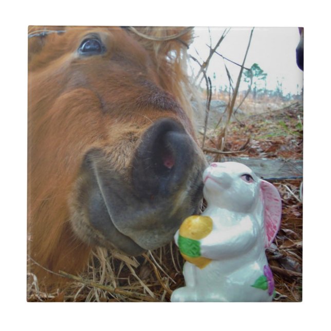 Easter Bunny and Brown horse Ceramic Tile (Front)