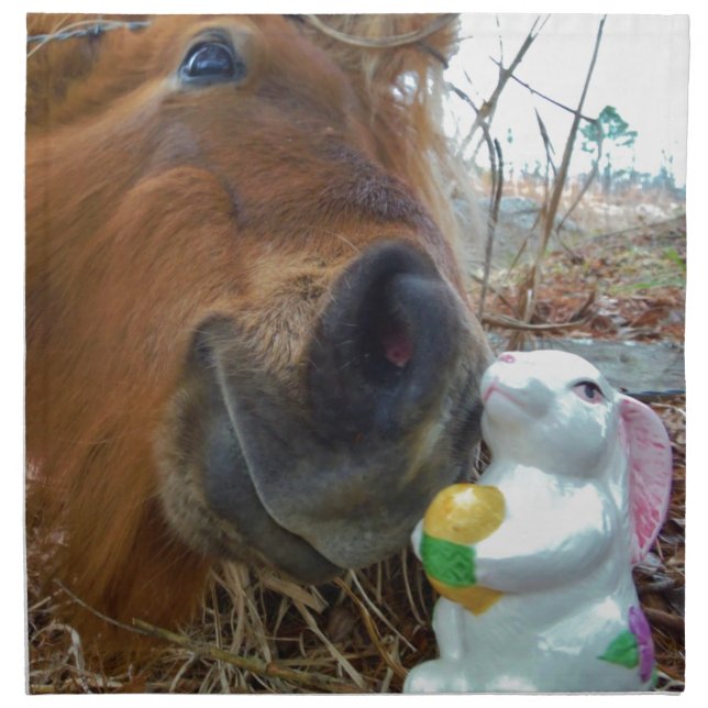 Easter Bunny and Brown horse Cloth Napkin (Front)