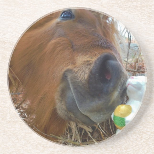 Easter Bunny and Brown horse Drink Coaster (Front)