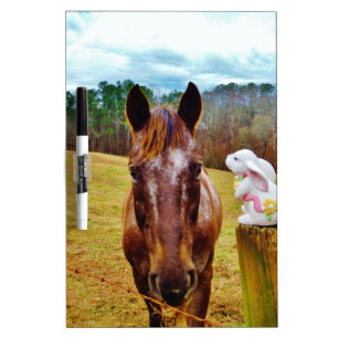 Easter Bunny and Brown horse Dry Erase Board