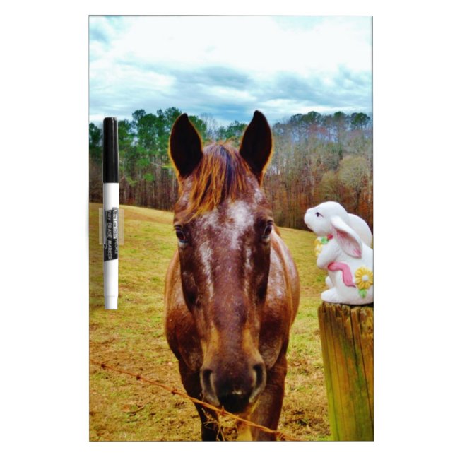 Easter Bunny and Brown horse Dry Erase Board (Front)