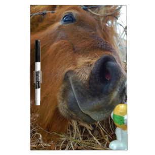 Easter Bunny and Brown horse Dry Erase Board