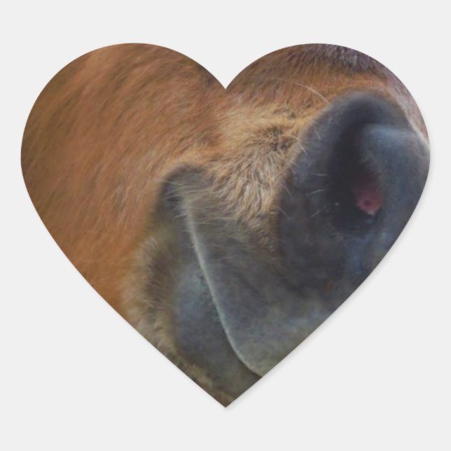 Easter Bunny and Brown horse Heart Sticker (Front)
