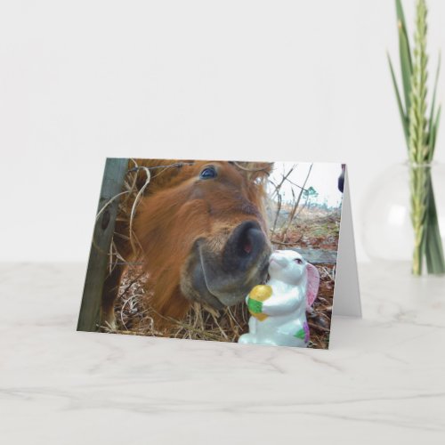 Easter Bunny and Brown horse Holiday Card