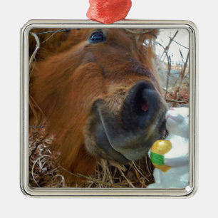 Easter Bunny and Brown horse Metal Ornament