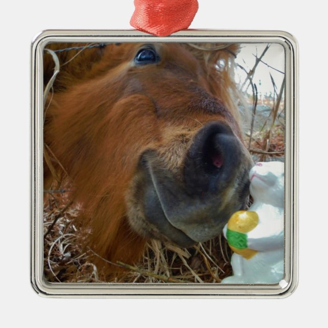 Easter Bunny and Brown horse Metal Ornament (Front)