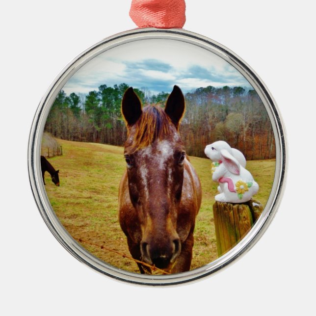 Easter Bunny and Brown horse Metal Ornament (Front)