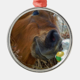 Easter Bunny and Brown horse Metal Ornament