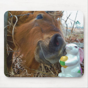 Easter Bunny and Brown horse Mouse Pad