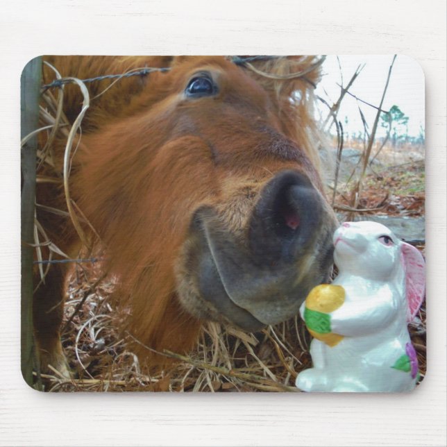 Easter Bunny and Brown horse Mouse Pad (Front)