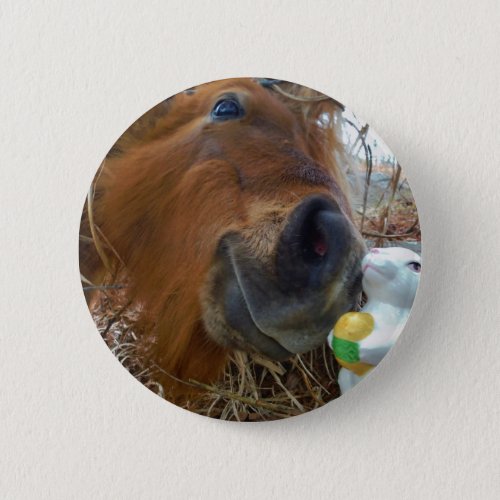 Easter Bunny and Brown horse Pinback Button