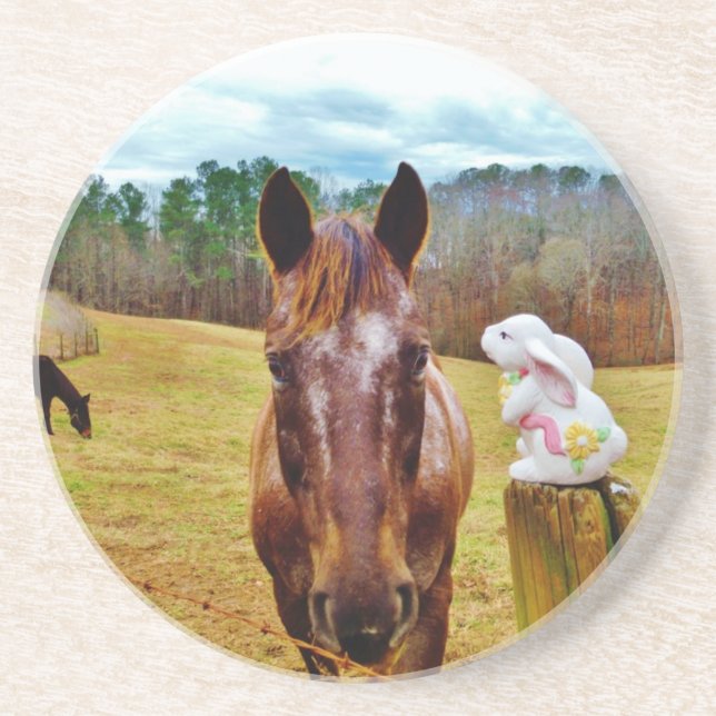 Easter Bunny and Brown horse Sandstone Coaster (Front)