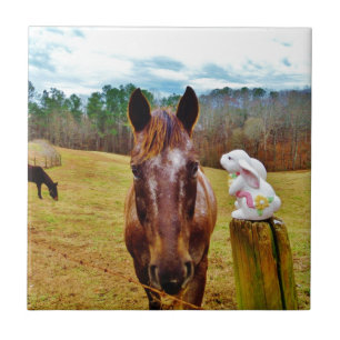 Easter Bunny and Brown horse Tile