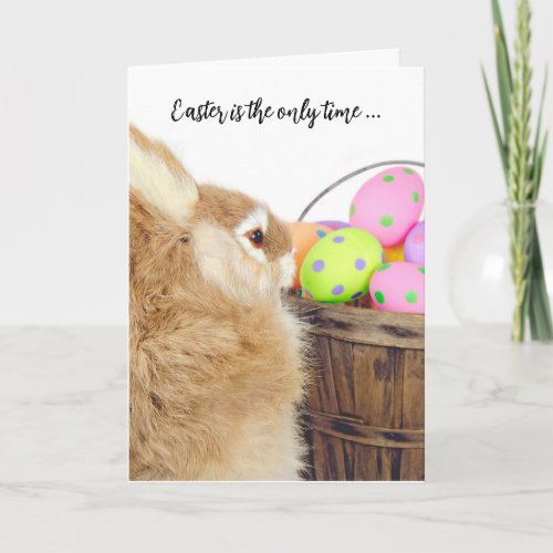Easter Bunny and Eggs Humor Holiday Card