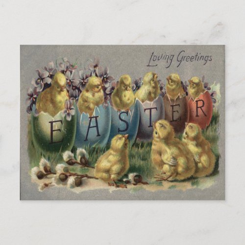 Easter Bunny Basket Colored Egg Sun Flower Field Holiday Postcard