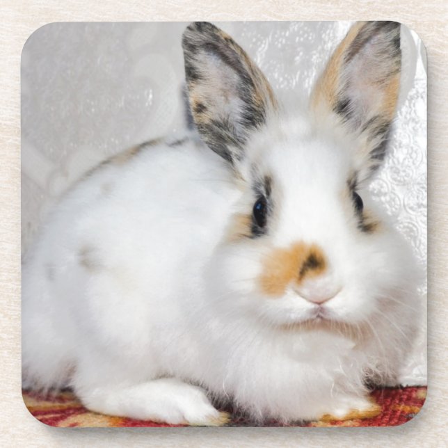Easter Bunny Beverage Coaster (Front)