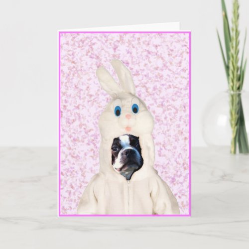 Easter bunny boston terrier greeting card