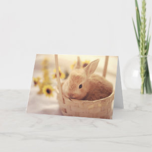 Easter Bunny Card