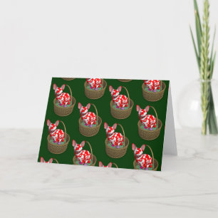 Easter Bunny Cat Holiday Card