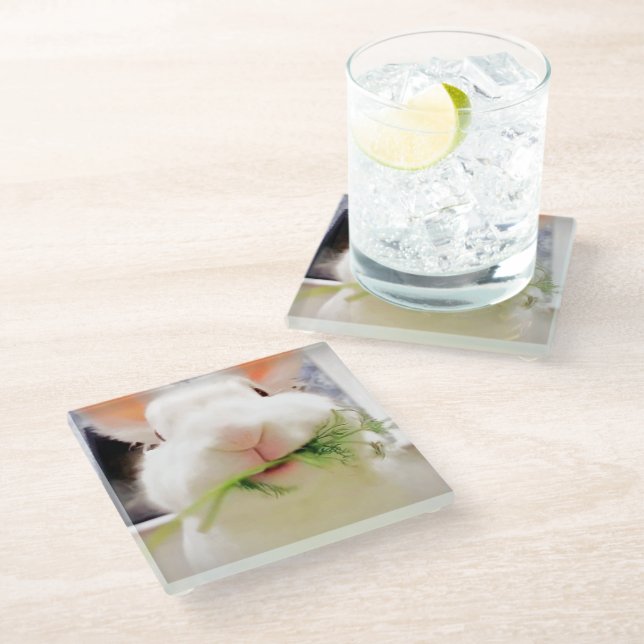 Easter Bunny Coasters (Angled)